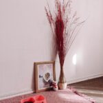 How to Create a Cozy Pet-Friendly Home Corner