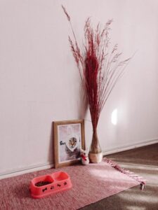 How to Create a Cozy Pet-Friendly Home Corner